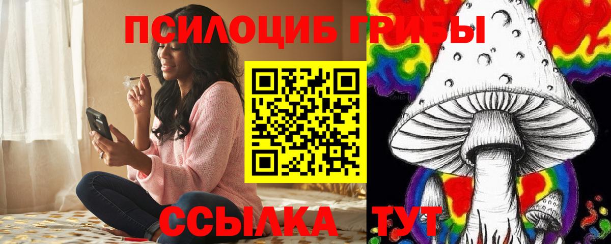 Псилоцибиновые грибы Psilocybine cubensis  Вход с VPN  Вязьма  Псилоцибиновые грибы мицелий 